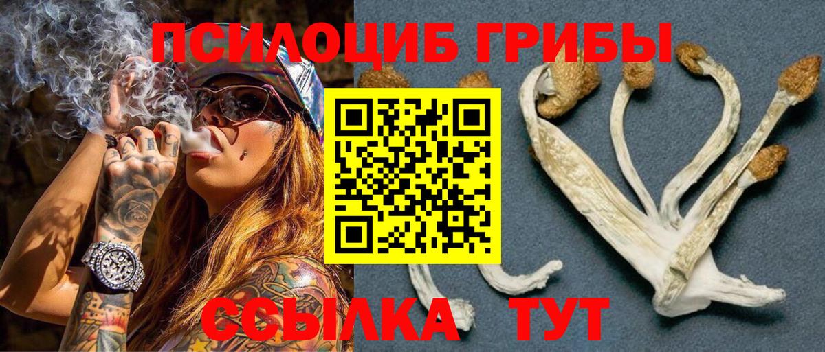 Галлюциногенные грибы Magic Shrooms Тара